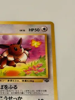 Eevee Pokemon Card Japanese Jungle #133 The Pokemon Company - Image 5