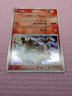 10th Anniversary Movie Promo Lucario Holo & Entei Holo Japanese Pokemon Card - Image 5