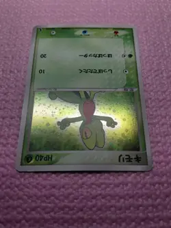 Treecko 003/019 & Torchic 002/019 Constructed Deck Japanese Pokemon Card A675 - Image 4