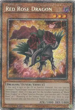 Red Rose Dragon MP25-EN037 2025 Mega-Pack 1st Edition Starlight Rare NM Yugioh - Image 1