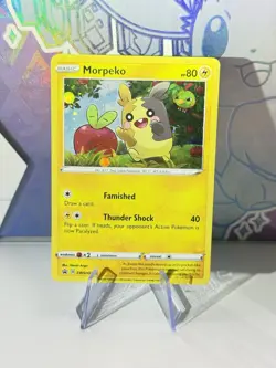 Morpeko SWSH031 Holo Promo Pokemon SWSH: Sword & Shield Promo English Near Mint - Image 1