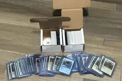 🔥Life TCG Special Edition Mammals Extended Art Cards and Holos Lot - Image 1