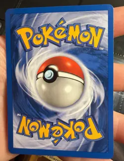 Kingdra (1st Edition) 8/111 Holo Pokemon Neo Genesis Vintage SWIRL Near MINT !🧼 - Image 4