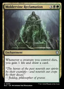 Moldervine Reclamation - 255 - NM - Commander: Bloomburrow - MTG - Image 1