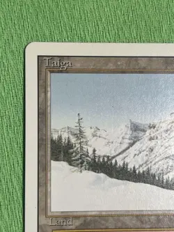 Mtg Taiga - Image 2