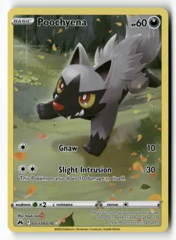Poochyena GG33/GG70 Holo Crown Zenith Galarian Gallery Pokemon Holo NM - Image 1