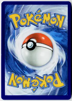 2019-2023 Pokemon SWSH Black Star Promos Greninja #SWSH144 - Image 2