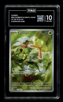 POKEMON #172/165 CATERPIE MEW EN-151 ILLUSTRATION RARE TAG 10 - Image 1