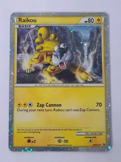 Pokemon Tcg Raikou HGSS19 Holo Black Star Promo 2010 [LP] - Image 1
