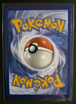 Pokemon First Partner Collection Series 2 Johto Gen 2 Illustration Rare Set! - Image 4