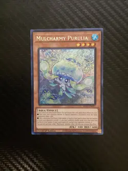 Yugioh Mulcharmy Purulia INFO-EN027 1st Edition Secret Rare NM - Image 1
