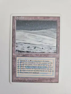 MTG - magic the gathering vintage collection +1400 cards sorted - Image 3