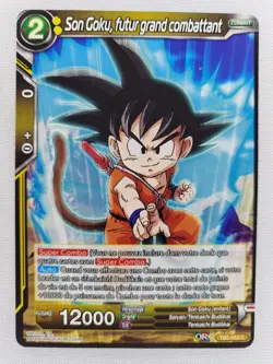 CARTE DBS TB2-052 C World Martial Arts Tournament Dragon Ball Super Card JCC VF - Image 1