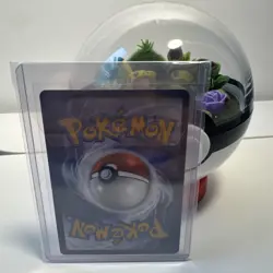 Lechonk 209/197 - Illustration Rare - Pokemon Obsidian Flames - NM - Image 2