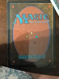 MTG Magic the Gathering Promo Snow Covered Plains - Image 2