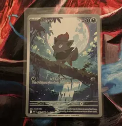 Pokemon TCG Zorua Illustration Rare Holo 142/086 White Flare EN Basic 70 HP - Image 1