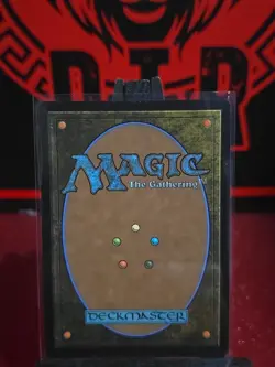 Misty Palms Oasis #273 Near Mint NM FOIL Avatar The Last Airbender TLA Magic MTG - Image 2