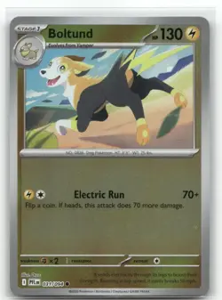 Boltund 031/094 Reverse Holo Phantasmal Flames Pokemon TCG - Image 1