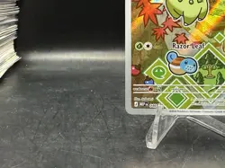 Pokemon TCG Chikorita MEP 046 First Partner Series 2 Black Star Promo NM - Image 4