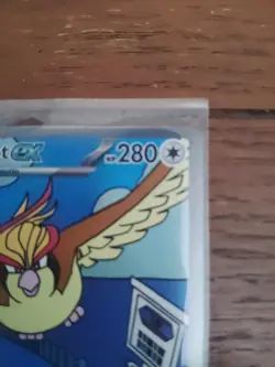 Pidgeot ex 225/197 SIR Special Illustration Rare Pokemon Obsidian Flames NM - B - Image 4