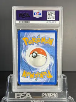 Wailord 162/159 Sv09: Journey Together Illustration Rare - PSA 8 - Image 2