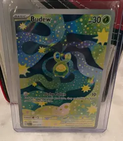 Budew 221/217 Ascended Heroes Illustration Rare Pokemon TCG NM - Image 1