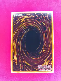 YuGiOh Dedication through Light and Darkness IOC-095 1st Edition Super Rare LP - Image 2