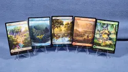 Basic land - Chocobo Track Foil set MTG 🔮 A - Image 1