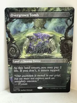 Lorwyn Eclipsed #350 Overgrown Tomb (Borderless) - Image 1