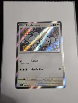 Tandemaus 209/091 Sv: Paldean Fates Holo Shiny Rare Pokemon - Image 2