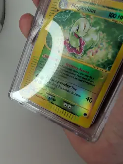 2002 Pokemon Expedition Meganium Reverse Holo #18 CGC 8.5 SCRATCH ON SLAB - Image 2