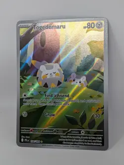 Holo Togedemaru 104/094 Illustration Rare Card / Phantasmal Flames / Pokemon TCG - Image 2