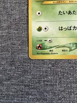 Pokemon TCG Chikorita Intro Pack Neo (Chikorita) Japanese #1 HP50 Regular - Image 3