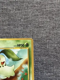 Pokemon TCG Chikorita Intro Pack Neo (Chikorita) Japanese #1 HP50 Regular - Image 5