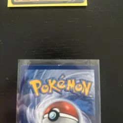 Suicune V 31/203 Holo Ultra Rare Pokemon Evolving Skies LP-Mint - Image 3