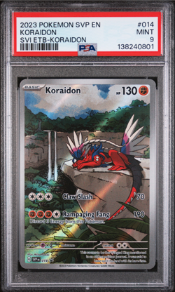 2023 POKEMON SVP EN-SV BLACK STAR PROMO #014 KORAIDON SVI ETB-KORAIDON - Image 1
