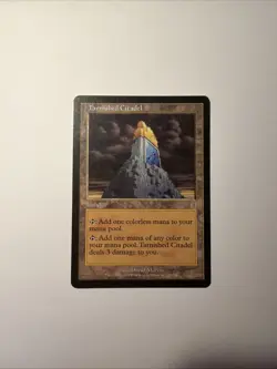 Tarnished Citadel Odyssey Regular HP - Image 1