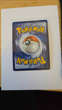 Pokemon Celebrations 25th Anniversary | Venusaur Holo 15/102 | NM - Image 3