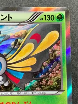 Pokemon card Beautifly 005/078 R 1st XY6 2015 Pokemon TCG Japanese Holo Rare - Image 3