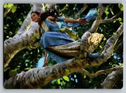Arwen Undomiel Art Card #13 S Art Series: The Lord of the Rings - Image 1