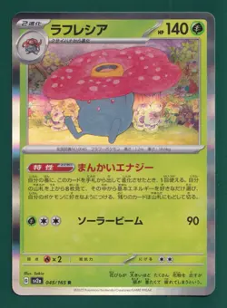 31 Japanese Pokemon Card Lot Holo Reverse Holo Rares Bulk NM Grab-Bag - Image 3