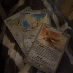 Pokemon TCG World Championships 2006 Pidgey Pidgeotto Pidgeot Creature Card Nin… - Image 1