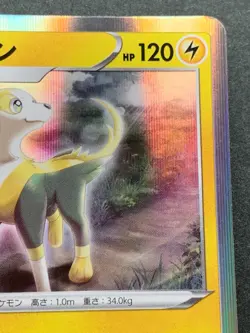 Pokemon card Boltund 008/024 2019 Pokemon TCG Japanese Holo Rare Nintendo - Image 3