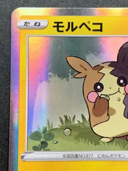 Pokemon card Morpeko 009/024 2019 Pokemon TCG Japanese Holo Rare Nintendo - Image 2