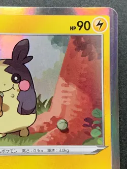 Pokemon card Morpeko 009/024 2019 Pokemon TCG Japanese Holo Rare Nintendo - Image 3
