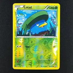Lotad 10/160 Holo - Primal Clash - Pokemon Card - Image 1