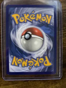 Cinccino - (Prerelease) SWSH009 SWSH: Sword & Shield Promo Cards Holo - Image 2