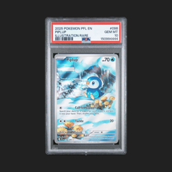 ❤‍🔥 PSA 10 ❤‍🔥 Pokemon TCG Piplup 098/094 Phantasmal Flames IR ⭐ Holo Rare - Image 1