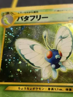 Butterfree Holo Rare Japanese Card Crossing the Ruins No. 012 LP front/MP back - Image 3