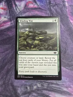 Winding Way Modern Horizons Regular - Image 1
